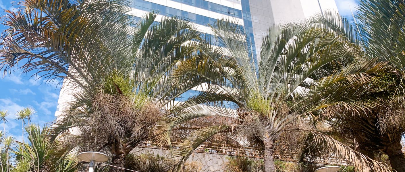 Hotel Wyndham Garden Convention Nortel