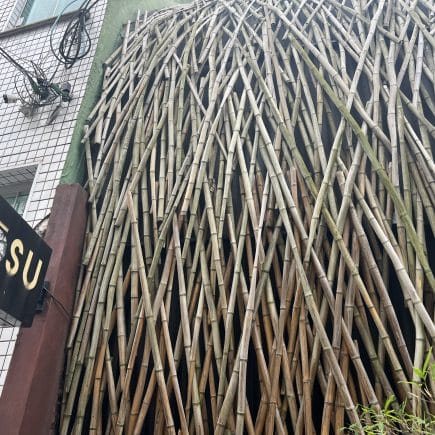 nosu entrada