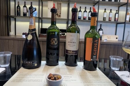 Vinicola aurora degustação
