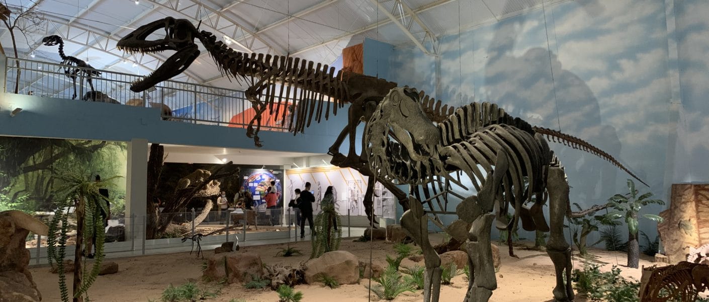 zoologico itatiba