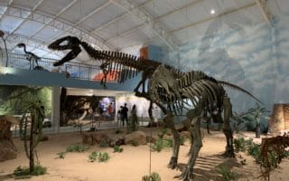 zoologico itatiba