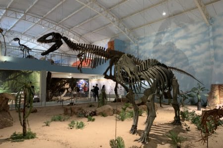 zoologico itatiba
